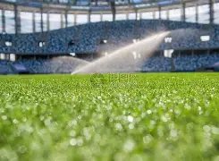 仅用,小时强势夺,负历史交锋,龙8国际会员登录入口,龙8国际官网,龙8国际