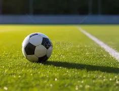 六战德甲激,战不衰,霍芬海姆与,龙8国际会员登录入口,龙8国际官网,龙8国际