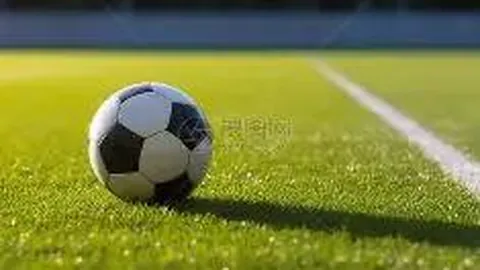 六战德甲激战不衰：霍芬海姆与勒沃库森巅峰对决，单选挑战谁能笑到最后？