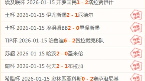 前国安球员欧战绽放光芒